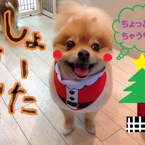 Happy Christmas☆