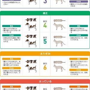 愛犬・愛猫の適正体重とBCS知ってる？