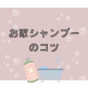 お家シャンプーのコツ