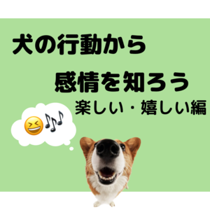 犬の行動から感情を知ろう～楽しい・嬉しい編～