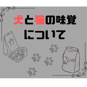 犬と猫の味覚について