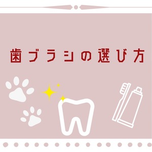 歯ブラシの選び方
