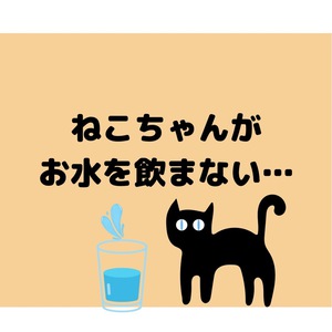 ねこちゃんがお水をのまない･･･