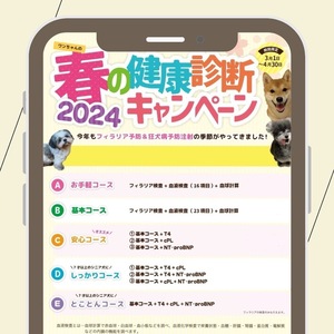 ワンちゃん！春の健康診断キャンペーン開始！！